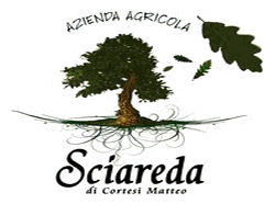 banneri-sciareda1