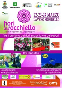 485059_345328878900618_1039693190_n