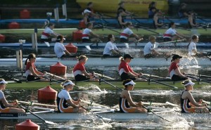 1005977_524898194230604_1509195385_n