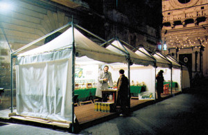 gazebo_pagoda_9
