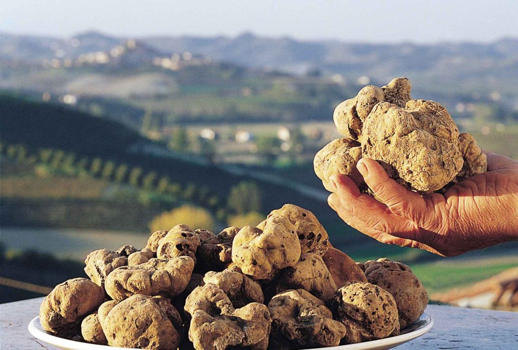 foto_tartufo1
