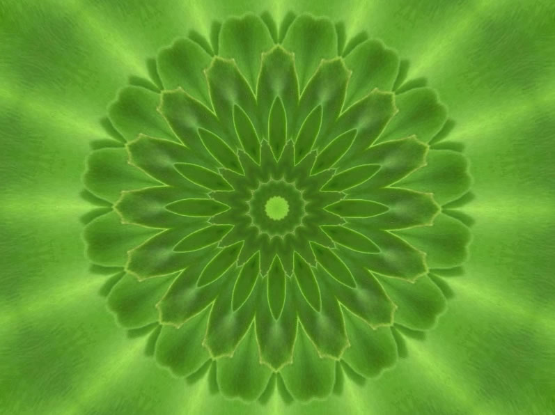 mandverde1