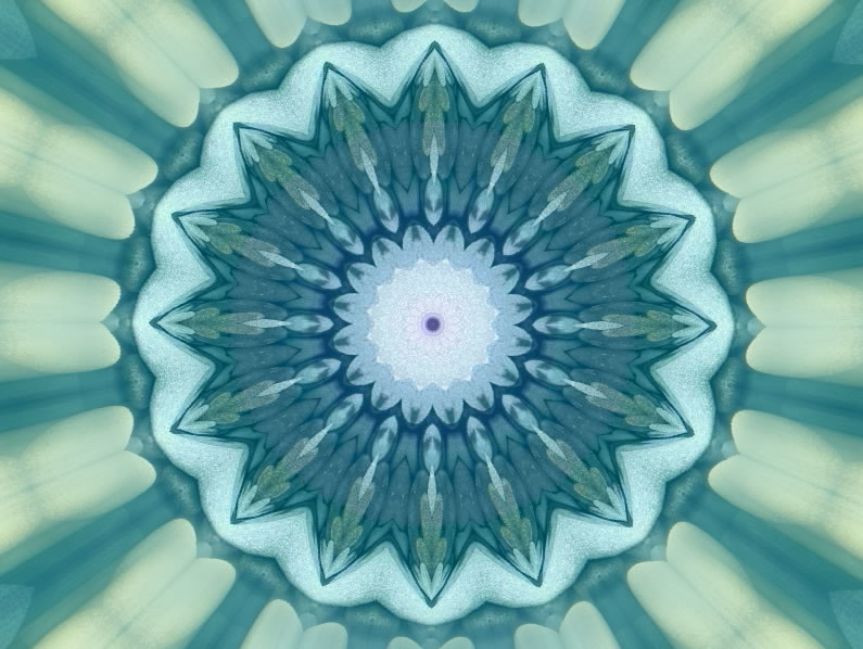 mandvero