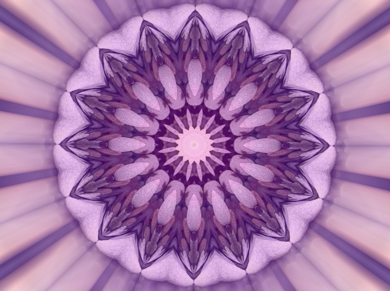 mandviol4