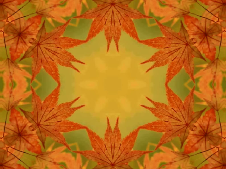 mndautun2