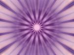 mandzoomviol